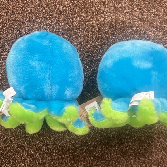 Petting zoo octupus - Picture 5 of 6